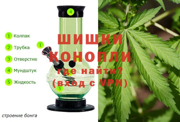 дживик Арсеньев