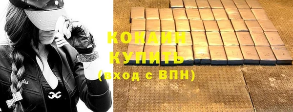 дживик Арсеньев