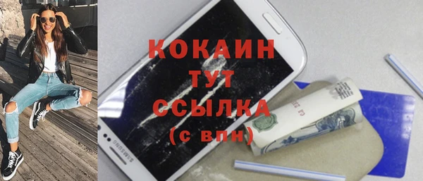 дживик Арсеньев