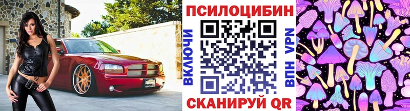 Псилоцибиновые грибы Psilocybine cubensis  ссылка на мегу сайт  Белово 